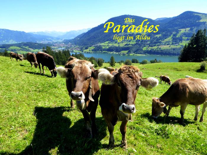 paradies